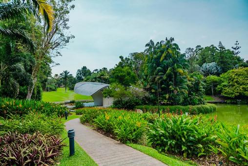 【シンガポール】植物園オーキッドガーデン ナショナル,オーキッドガーデン,植物園の写真素材