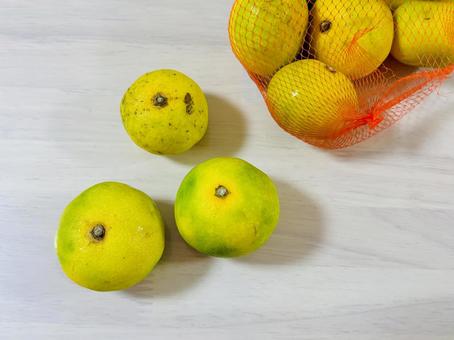 袋から飛び出したみかん2 袋から飛び出したみかん2の写真