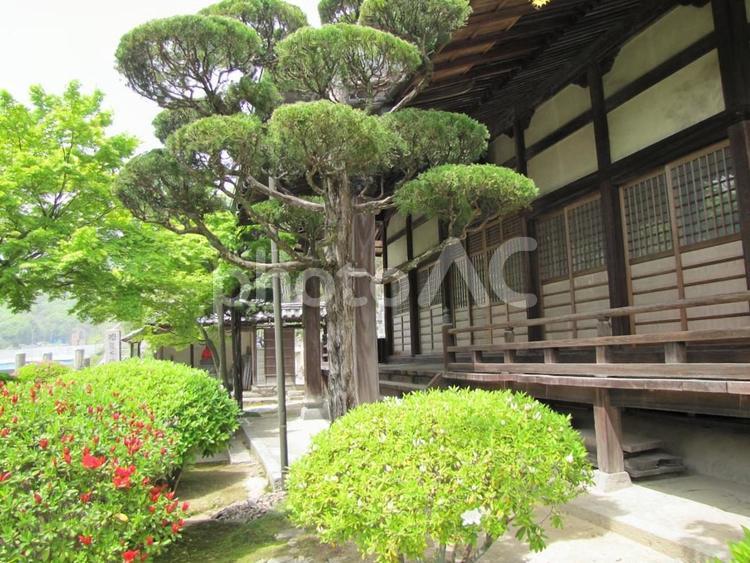 【風景写真】観音寺(広島県三原市)の風景 観音寺,時宗,寺社仏閣の写真素材
