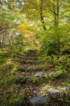 北海道　大沼国定公園　秋の風景 北海道,大沼,函館の写真素材