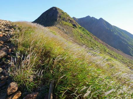 早朝の峰の茶屋跡避難小屋付近 早朝の峰の茶屋跡避難小屋付近 峰の茶屋跡避難小屋,稜線,緑の写真素材