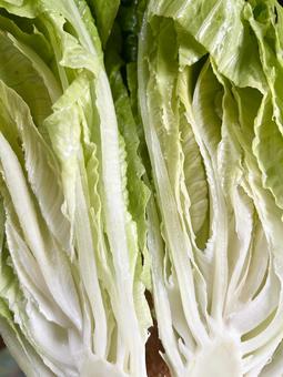 健康野菜のロメインレタスを真っ二つに(縦 健康野菜のロメインレタスを真っ二つに(縦 ロメインレタス,レタス,ビタミンaの写真素材