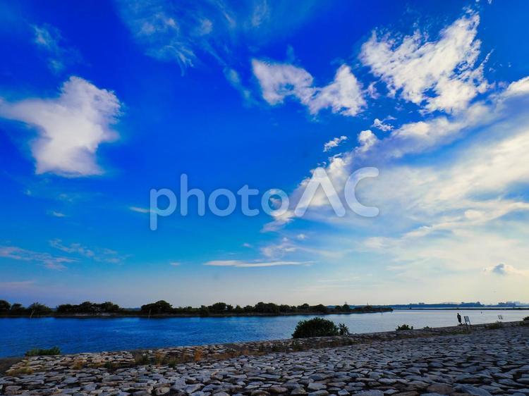 真夏の葛西臨海公園の空 真夏,葛西臨海公園,青空の写真素材
