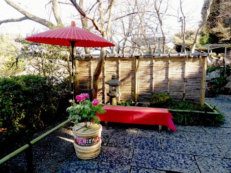 鶴岡八幡宮・冬のぼたん園お休み所 和傘,長いす,ベンチの写真素材