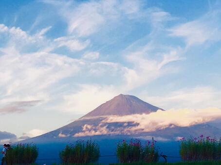 富士山とコスモス 富士山とコスモス 富士山,コスモス,秋の写真素材