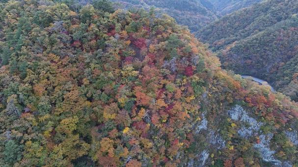 山紅葉007 山,紅葉,山紅葉の写真素材