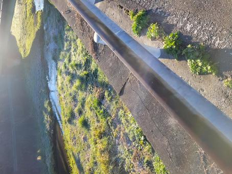 川 川,太陽,日の写真素材