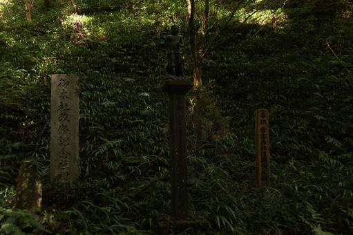 高尾山 登山道 高尾山 登山道の写真