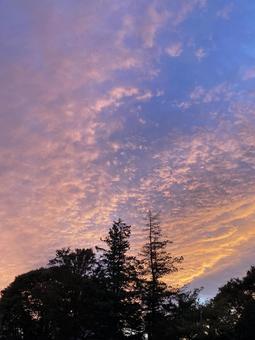 幻想的な秋の夕焼け空の写真