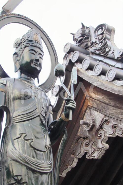 定念寺　仏像と山門 定念寺,参拝,お参りの写真素材