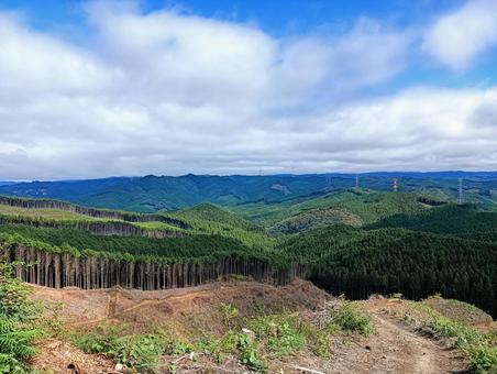 森林伐採 森林伐採 森林伐採,森林,森の写真素材