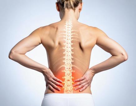 腰の痛みのメカニズム 腰の痛みのメカニズムの写真