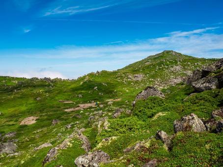 トムラウシ野営指定地 トムラウシ野営指定地の写真