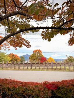 とある町の線路沿いの風景 04 秋,紅葉,木々の写真素材