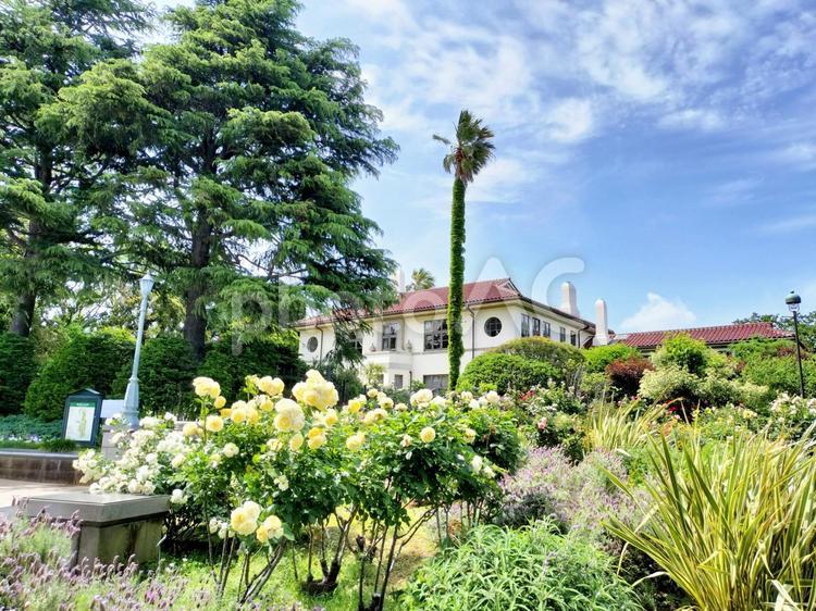 港の見える丘公園とイギリス館 イギリス館,山手,港の見える丘公園の写真素材
