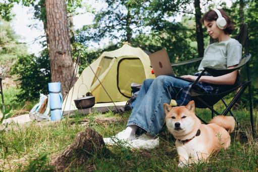 テント前で犬と休む女性 女性,外国人,犬の写真素材