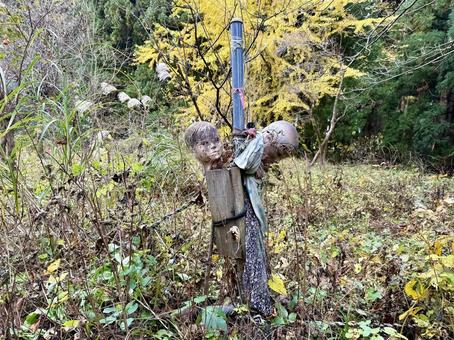 かかしのマネキン かかし,マネキン,頭部の写真素材