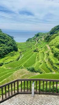棚田 棚田 棚田,自然,風景の写真素材