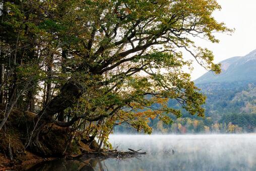 オンネトーの紅葉 オンネトーの紅葉,オンネトー,紅葉の写真素材