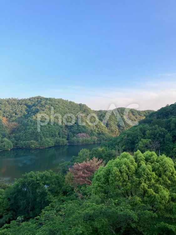 山の生い茂る緑とそれを反射する湖 自然,山,湖の写真素材