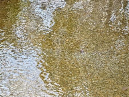 涼しげな川の水面 涼しげな川の水面 川,水面,模様の写真素材