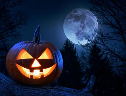 森の中のハロウィンのカボチャのランタンの写真