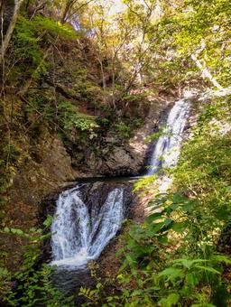 太閤下ろしの滝の秋 秋,太閤下ろしの滝,滝の写真素材