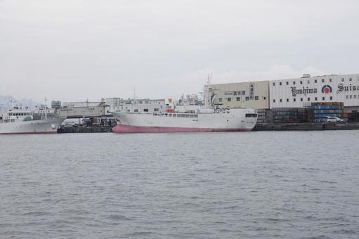 Photo, shizuoka prefecture, shizuoka city, shimizu port, 