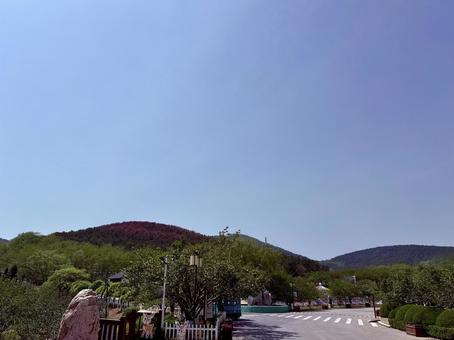 遠くに見える203高地 遠くに見える203高地 道路,山道,木漏れ日の写真素材