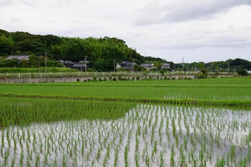 田舎の風景 田舎の風景の写真