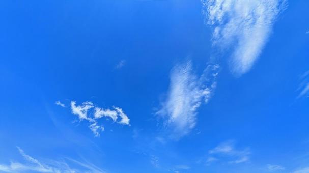 青のキャンバス-19 青のキャンバス-19の写真