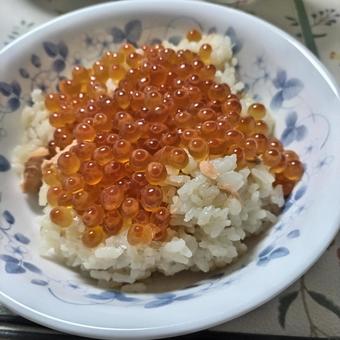 はらこ飯 イクラ はらこ飯 イクラの写真
