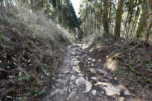 岩の多い登山道 岩の多い登山道の写真