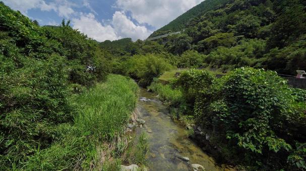 自然の小川 自然の小川の写真