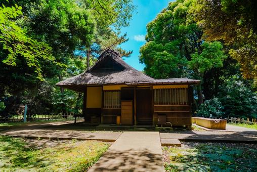 【東京】上野国立博物館 2025 【東京】上野国立博物館 2025 上野,国立博物館,博物館の写真素材