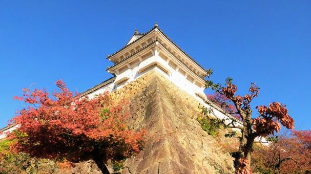 姫路城 櫓 姫路城,白鷺城,紅葉の写真素材