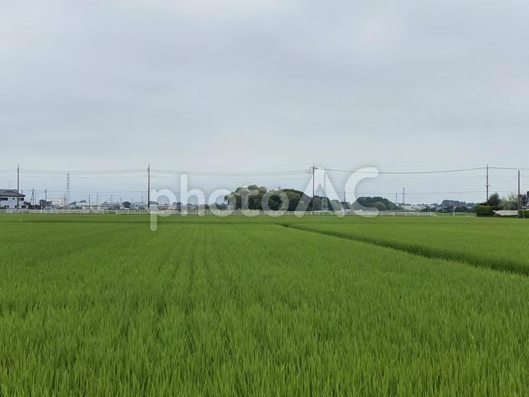 田園風景 風景,自然,空の写真素材