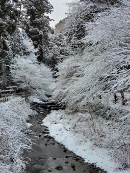 雪の貴船川【京都市左京区】の写真