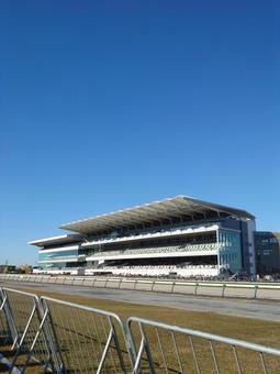 快晴の中京競馬場　本馬場とメインスタンド 中京競馬場,観覧席,応援スタンドの写真素材
