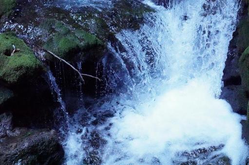 山口県秋芳洞 山口県秋芳洞の写真