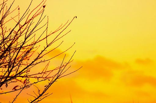 黄昏の空 黄昏の空 黄昏の空,夕方,夕焼けの写真素材
