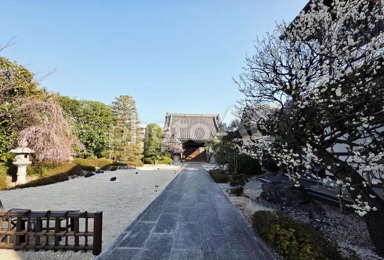 街並み　横浜　寿徳寺 風景,街並み,横浜の写真素材