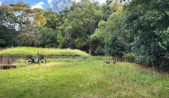 草が伸び放題の公園と自転車 公園,自転車,草の写真素材