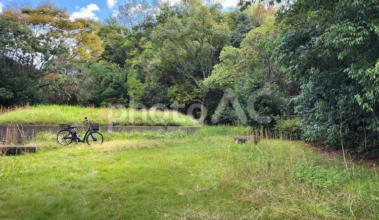 草が伸び放題の公園と自転車 公園,自転車,草の写真素材
