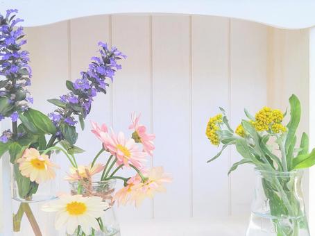 白い木目背景とかわいい花 白い木目背景とかわいい花 ボタニカル,ナチュラル,花の写真素材