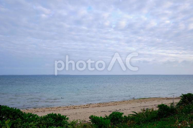 南国の砂浜と芝木 海,青空,海岸の写真素材