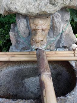 龍淨化洗手區龍龍淨化神社 龍淨化洗手區龍龍淨化神社