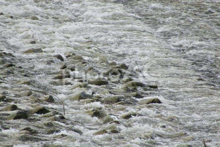 川の流れの音が涼しげな 川,浅瀬,キラキラの写真素材