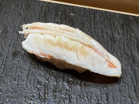 エビ エビ 寿司,鮨,握り寿司の写真素材
