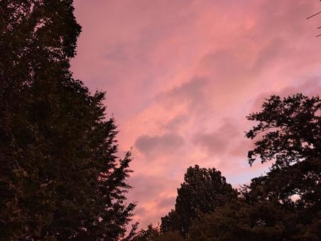 Photo, sunset, setting sun, evening sky, 